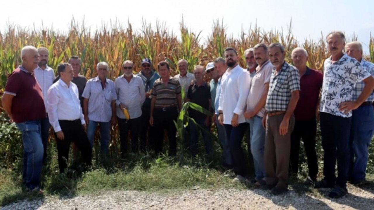 CHP’li Balaban’dan mısır üreticilerine ziyaret