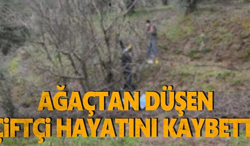 Talihsiz olay! Ağaçtan düşen çiftçi hayatını kaybetti
