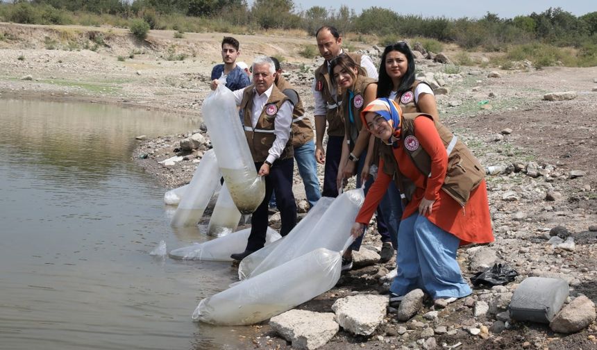 Manisa’da 890 bin sazan suyla buluştu
